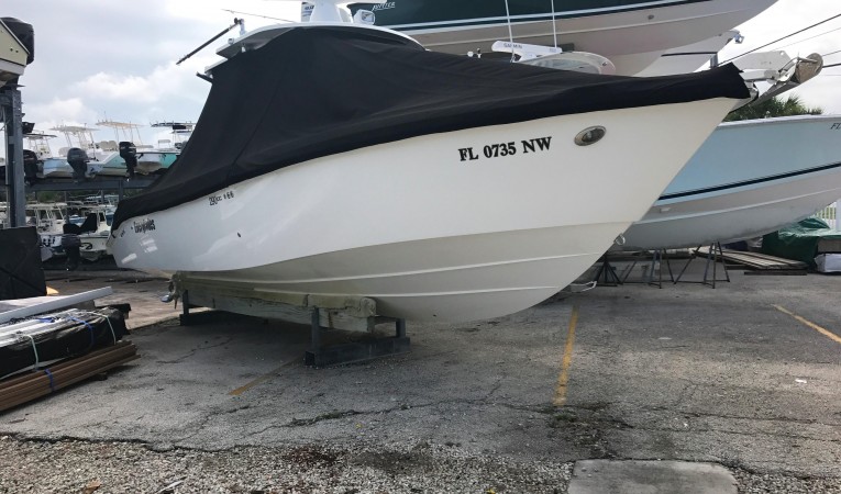 29 Everglades 