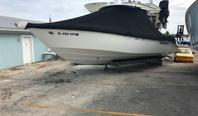 29 Everglades 