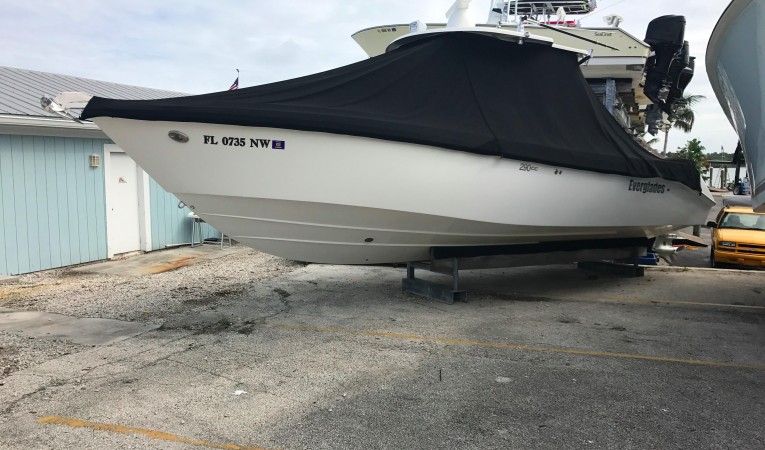 29 Everglades 
