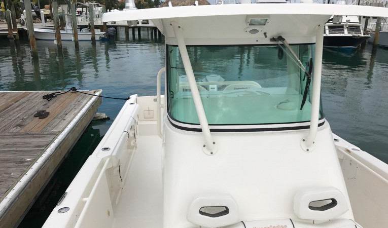 29 Everglades 