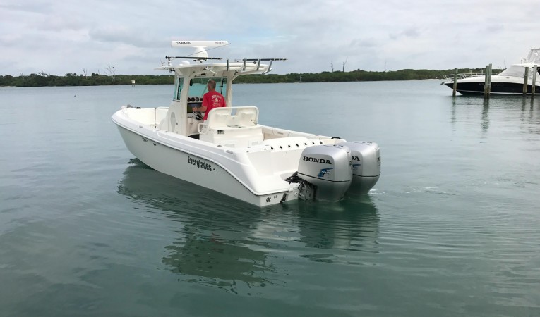 29 Everglades 