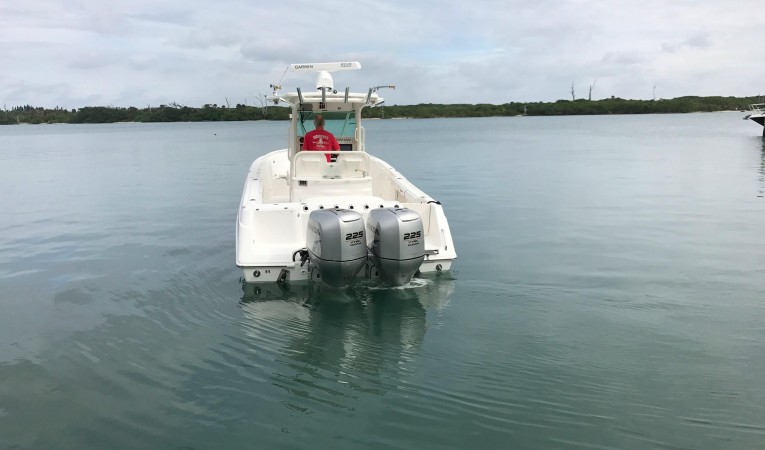 29 Everglades 