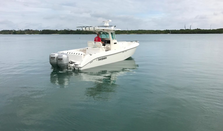 29 Everglades 