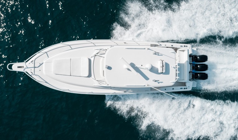 39 Intrepid Overhead