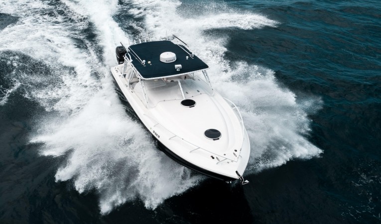 37 Midnight Express Bow