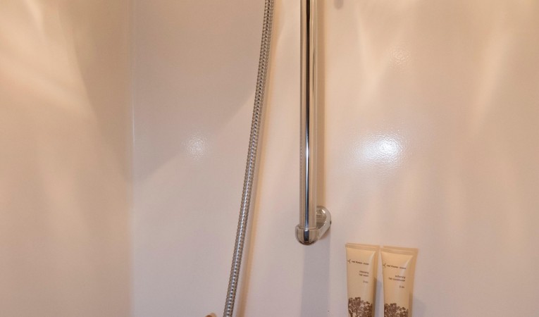 53 DeFever Guest Shower