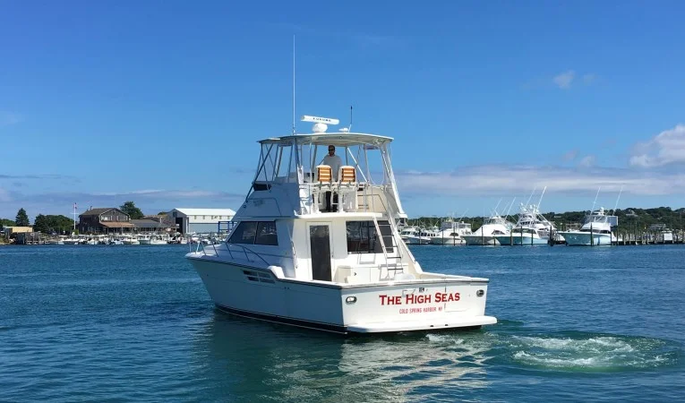 43 Tiara Aft View
