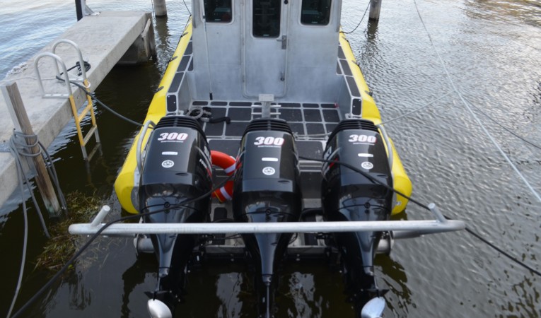 31 Safe Boat 