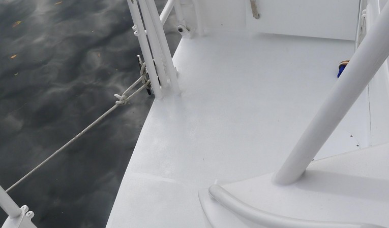 50 Cape Horn Swim Platform