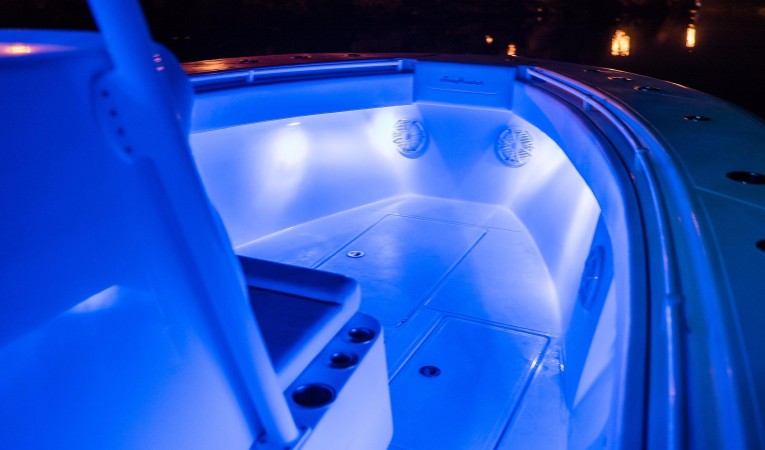 33 SeaHunter Forward w/ Lights