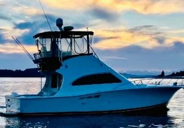 36' Luhrs 2001