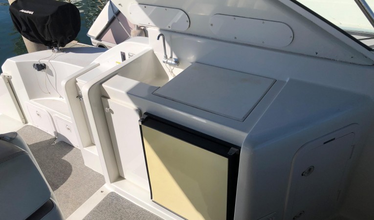 36 Trojan Cockpit Amenities