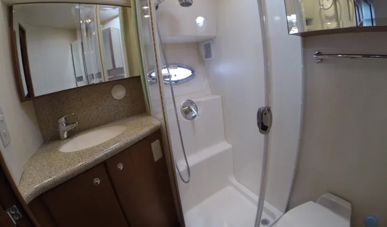 45 Silverton Master Head/Shower
