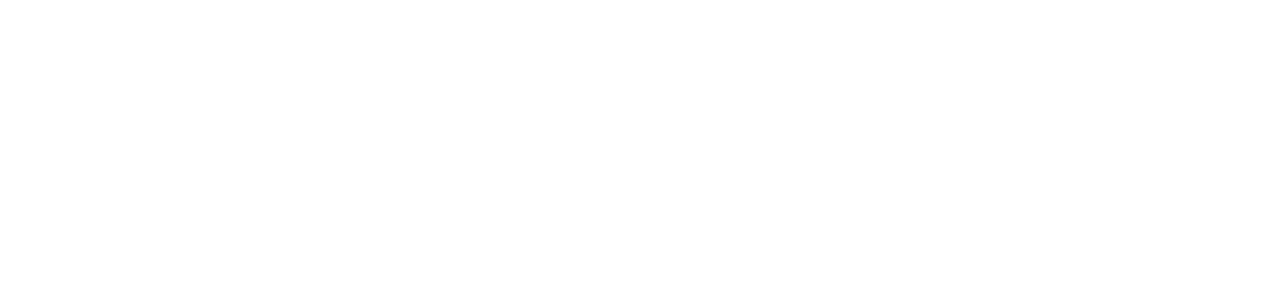 Denison Yacht Sales Partner - Northern Jets