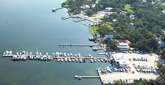 Marino's Marina in Palm Harbor, FL