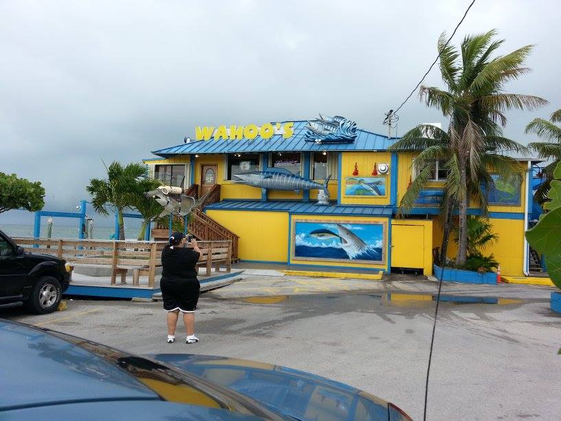 Whale Harbor Marina in Islamorada, FL