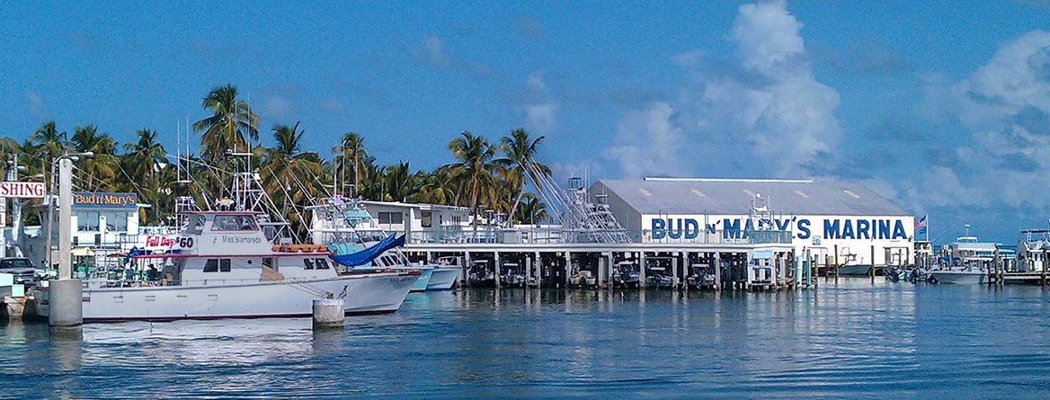 Bud'n Mary's Fishing Marina in Islamorada, FL