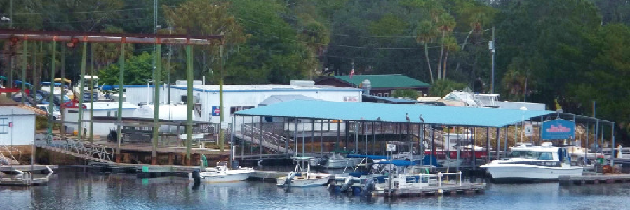 River Haven Marina & Motel in Steinhatchee, FL