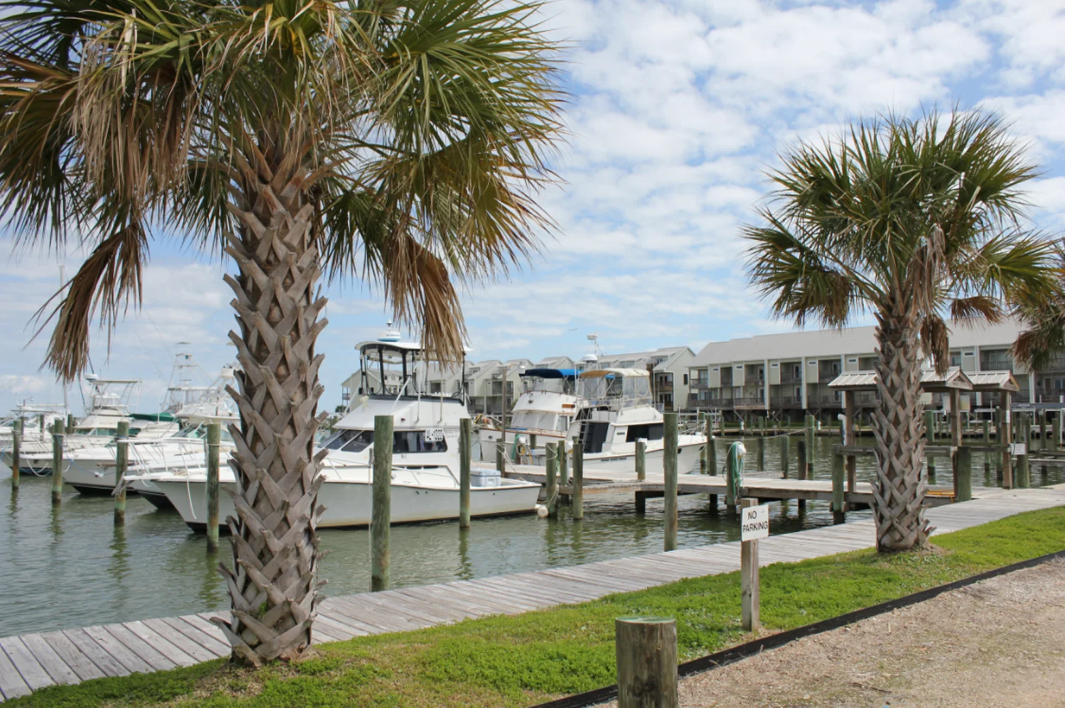 Dauphin Island Marina in Dauphin Island, AL