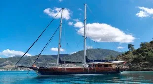 Carolina Greece, Turkey