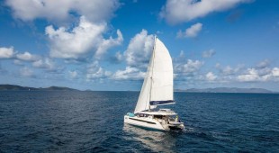 Abby Normal To Caribbean