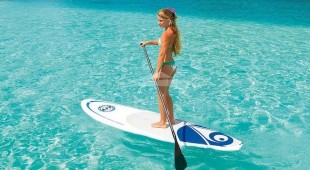 Abundance Caribbean