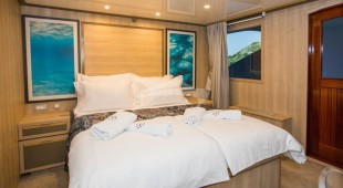 Agape Rose East Mediterranean