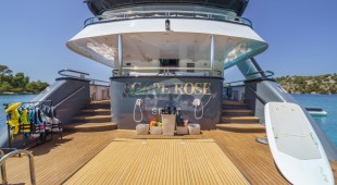 Agape Rose East Mediterranean