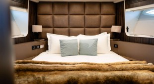 Ammonite East Mediterranean, West Mediterranean