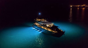 Ammonite East Mediterranean, West Mediterranean