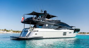 Ammonite East Mediterranean, West Mediterranean