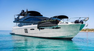 Ammonite East Mediterranean, West Mediterranean