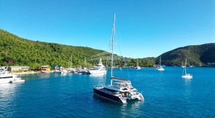 Andromeda Caribbean, East Coast United States