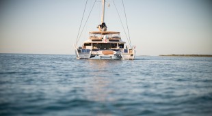 Andromeda Caribbean, East Coast United States