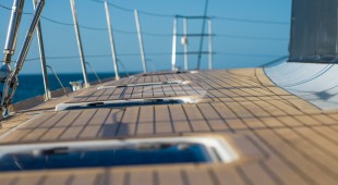 Andromeda Caribbean, East Coast United States