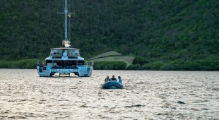 Andromeda Caribbean, East Coast United States