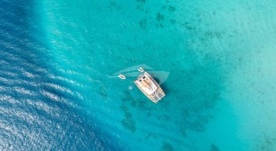 Andromeda Caribbean, East Coast United States