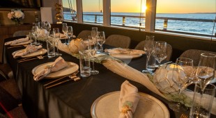 Anima Maris East Mediterranean