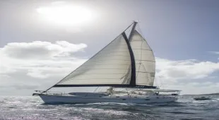 Antillean Caribbean Leewards, Caribbean Virgin Islands (US)