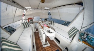 Antillean Caribbean
