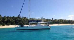 Antillean Caribbean