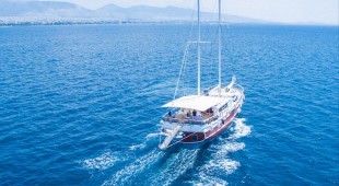Aphrodite East Mediterranean