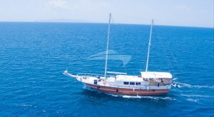Aphrodite East Mediterranean