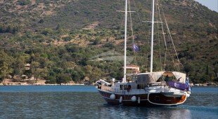 Aphrodite East Mediterranean