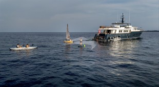 Araok Ii Caribbean, East Mediterranean, West Mediterranean