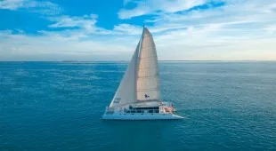 Argo Navis USA - Florida East Coast, USA - Florida West Coast