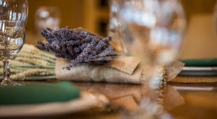 Arktos East Mediterranean