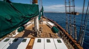 Arktos East Mediterranean