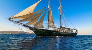 Arktos East Mediterranean