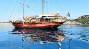 Artemis-simay East Mediterranean